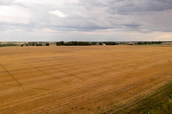 Drone photography of yellow grain agriculture field during cloudy summer day.