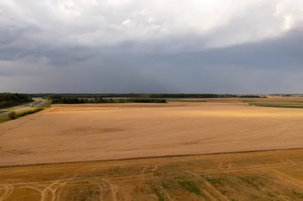 Drone photography of yellow grain agriculture field during cloudy summer day.