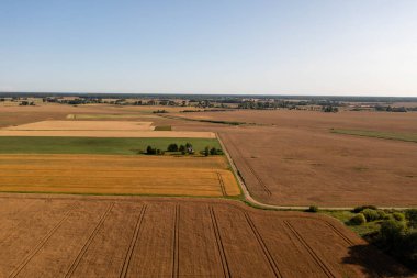 Bulutlu yaz gününde sarı tahıl tarlasının drone fotoğrafçılığı.