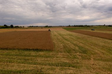 Çiftçinin insansız hava aracı fotoğrafçılığı yaz güneşli bir günde sarı bir tarım tahıl tarlasını hasat ediyor..