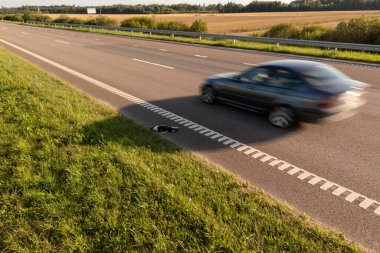 Otoyolun kenarındaki ölü bir hayvanın robot resmi ve yaz günü geçen arabalar.