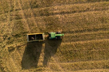 Yaz günü hasat edilen buğdayları taşımak için traktörün drone fotoğrafçılığı.