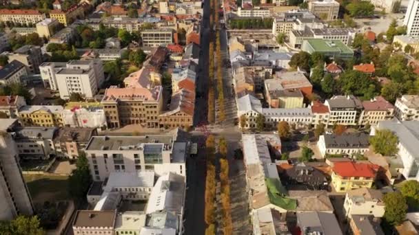 マラソンを走る人々のドローン映像 秋の日に市街地で — ストック動画