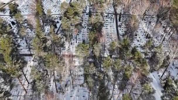 Запись Беспилотника Большого Кладбища Лесу Покрытом Снегом Солнечный Зимний День — стоковое видео