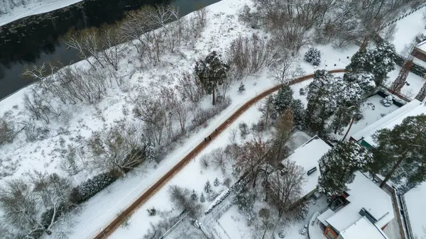 Drone photography of people walking on pedestrian sidewalk during winter cloudy day