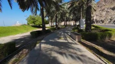 Umman, Muscat 'ta bahar güneşli bir günde halk parkında yürüyüş görüntüleri.