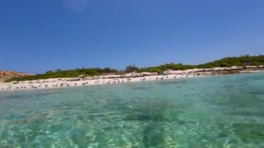 Bahar güneşli bir günde, Umman 'da kuşlarla küçük bir adanın görüntüsü.