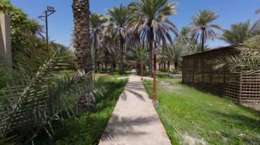 Baharın güneşli günlerinde Nizwah, Umman 'da palmiye bahçesi görüntüsü