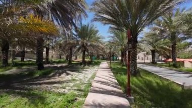 Baharın güneşli günlerinde Nizwah, Umman 'da palmiye bahçesi görüntüsü