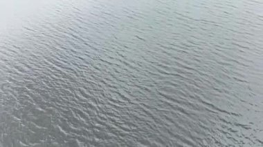 Bulutlu bir yaz günü, gölde kürek çeken kadınların robot görüntüleri.