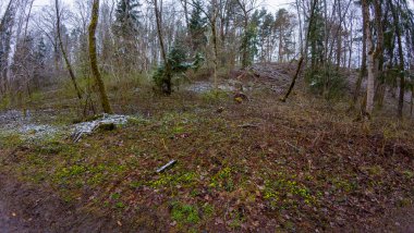 Düşen yapraklarla kaplı bir orman yolu ve kışın erken saatlerinde ağaçlarla çevrili hafif bir kar tozu ile.