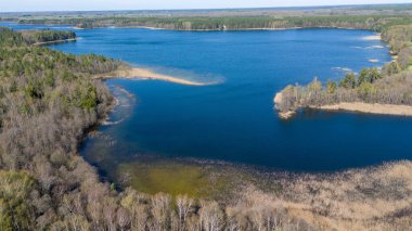 Bereketli yeşil ormanlar ve sulak alanlarla çevrili sakin bir göl manzarası. Su durgun, mavi gökyüzünü ve ağaçları yansıtıyor. Manzara, sazlıklar ve kumlu sahillerle, toprak ve suya sahiptir..