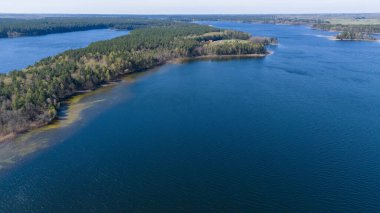 Bereketli yeşil ormanlar ve sulak alanlarla çevrili sakin bir göl manzarası. Su durgun, mavi gökyüzünü ve ağaçları yansıtıyor. Manzara, sazlıklar ve kumlu sahillerle, toprak ve suya sahiptir..