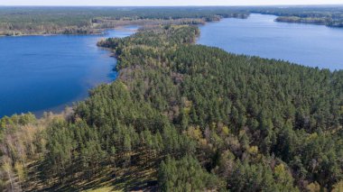 Bereketli yeşil ormanlar ve sulak alanlarla çevrili sakin bir göl manzarası. Su durgun, mavi gökyüzünü ve ağaçları yansıtıyor. Manzara, sazlıklar ve kumlu sahillerle, toprak ve suya sahiptir..