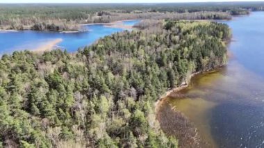 Bereketli yeşil ormanlar ve sulak alanlarla çevrili sakin bir göl manzarası. Su durgun, mavi gökyüzünü ve ağaçları yansıtıyor. Manzara, sazlıklar ve kumlu sahillerle, toprak ve suya sahiptir..