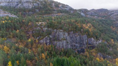 Yoğun orman ve sonbahar yapraklarıyla kaplı kayalık bir dağın manzarası..
