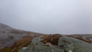 Kayalık arazi ve seyrek bitki örtüsüyle sisli bir arazi gizemli ve sakin bir atmosfer yaratıyor..