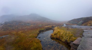 Küçük bir deresi olan sisli bir dağ manzarası. Çimenli arazide ve kayalık yolda akıyor..