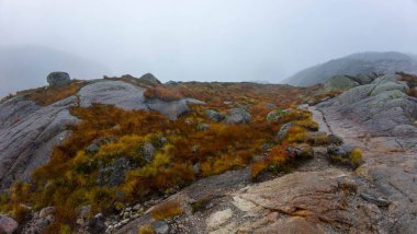 Sisli bir dağ manzarası. Kayalık arazisi ve sisle kaplı çimenli arazileri var..