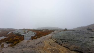Kayalık arazi ve seyrek bitki örtüsüyle sisli dağ manzarası.