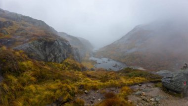Kayalık arazili, sisli bir dağ manzarası ve sarımsı çimenler sakin ve gizemli bir atmosfer yaratıyor..