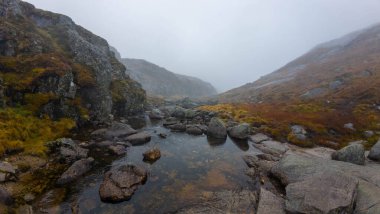 Vadiden akan kayalık bir deresi olan sisli bir dağ manzarası. Sahne sisle kaplanmış, gizemli ve sakin bir atmosfer yaratıyor. Yosun ve çimenler kayaları ve zemini kaplıyor..