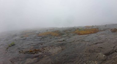 Kayalık arazi ve yosun parçalarıyla sisli dağ manzarası.