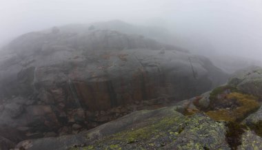Kayalık arazi ve seyrek bitki örtüsüyle sisli bir dağ manzarası.