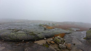 Kayalık arazi ve seyrek bitki örtüsüyle sisli bir arazi..