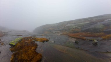 Kayalık arazi ve seyrek bitki örtüsüyle sisli bir arazi gizemli ve sakin bir atmosfer yaratıyor..