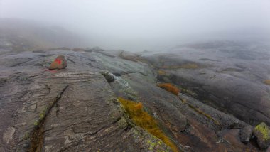 Kayalık arazi ve seyrek bitki örtüsüyle sisli dağ manzarası.