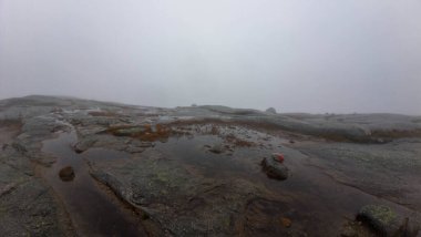 Kayalık arazi ve küçük su birikintileriyle sisli dağ zirvesi.