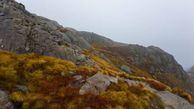 Dağların zirvelerini kaplayan bulutlu bir gökyüzünün yer aldığı kayalık arazi ve seyrek bitki örtüsüyle sisli bir dağ manzarası..