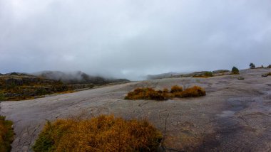 Bulutlu bir gökyüzüne sahip, kayalık arazi ve seyrek bitki örtüsüyle sisli bir arazi..