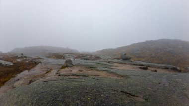 Kayalık arazi ve seyrek bitki örtüsüyle sisli dağ manzarası.