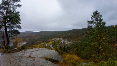 Yoğun ormanlar ve bulutlu gökyüzü ile çevrili dolambaçlı bir yolu olan dağlık bir arazinin manzarası..