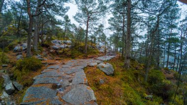 Çam ağaçları ve kayalık arazide saran taş basamakları olan manzaralı bir orman yolu..