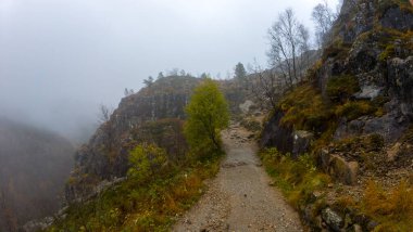 Kayalık arazisi ve seyrek ağaçlarıyla sisli bir dağ yolu, dingin ve gizemli bir atmosfer yaratır..