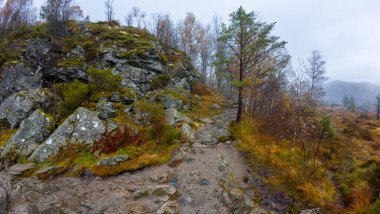 Kayalık bir yürüyüş yolu sonbahar yapraklarıyla sisli bir ormanda esiyor..
