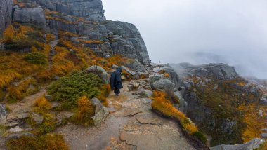 Yağmurluk giymiş bir yürüyüşçü, sis ve sonbahar yapraklarıyla çevrili kayalık bir dağ yolunda yürüyor..