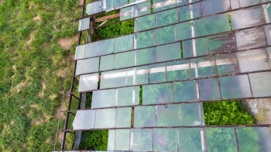 Aerial view of an abandoned greenhouse with broken glass panels and overgrown vegetation inside. clipart