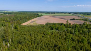 Yeşil yemyeşil bir ormanın açık tarım alanına dönüşümünün havadan görünüşü. Manzara, açık mavi gökyüzünün altında ağaçlar ve tarım arazilerinin bir karışımını barındırıyor..