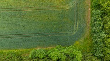Tarayıcı izleri ve çevreleyen ağaçlarla dolu yemyeşil bir alanın havadan görüntüsü..