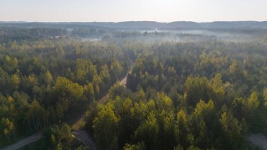 Sis ve sabahın erken saatlerinde etrafı toprakla çevrili, dolambaçlı, sık bir ormanın hava manzarası..