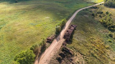 Yeşil tarlalar ve seyrek ağaçlarla çevrili, her iki tarafında kesilmiş kütükler olan kırsal toprak yolun havadan görünüşü.