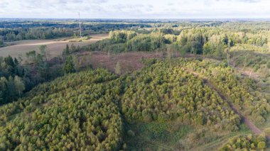 Parçalı bulutlu bir gökyüzünün altında, sık ağaçlar ve açık arazilerin karışımından oluşan yemyeşil orman manzarasının havadan görünüşü. Uzaktan bir iletişim kulesi görünüyor..