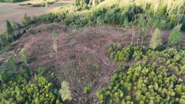 Yoğun ormanlarla çevrili ağaçsız bir bölgenin havadan görünüşü, dağınık ağaç kütükleri ve kütükleriyle açık araziyi gösteriyor, çevresel etkiyi vurguluyor..