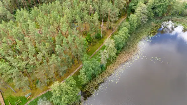 Sakin bir gölün yanındaki ormanlık alanda ağaçlar ve su arasında yürüyen bir patika var..