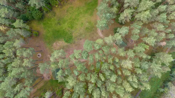 Yoğun ağaçlarla çevrili, görünür yolları ve küçük bir yapısı olan bir ormanın havadan görünüşü..