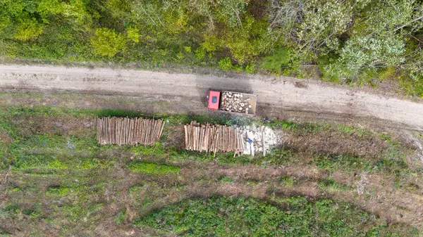 Kırmızı kamyonlu bir kereste sahasının havadan görüntüsü ve toprak yol boyunca istiflenmiş kütükler..